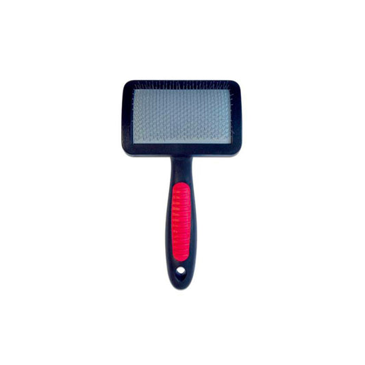 Carde ergonomique à picots souples