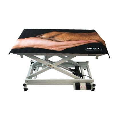 Tapis antidérapant noir pour table de toilettage