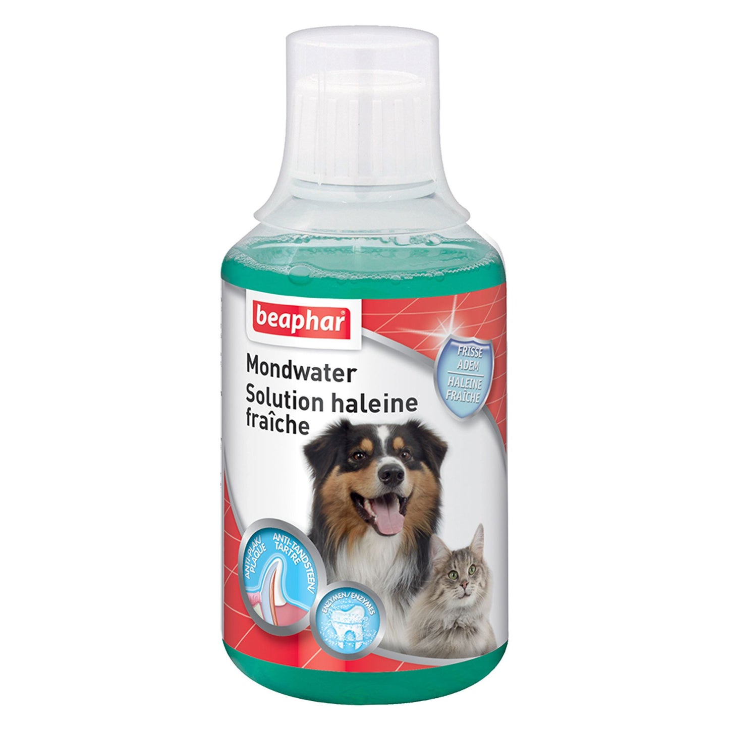 Solution Buccafresh – 250 ml