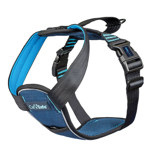 Harnais CarSafe Bleu Testé en Collision