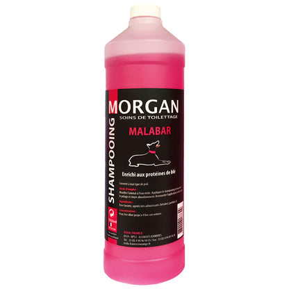 Shampoing Protéiné Malabar