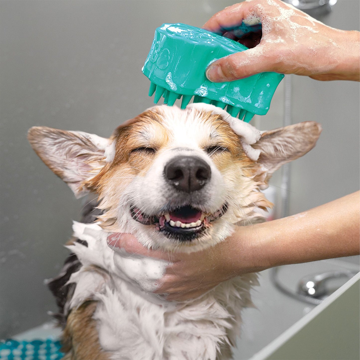 Brosse Massage avec Distributeur de Shampooing