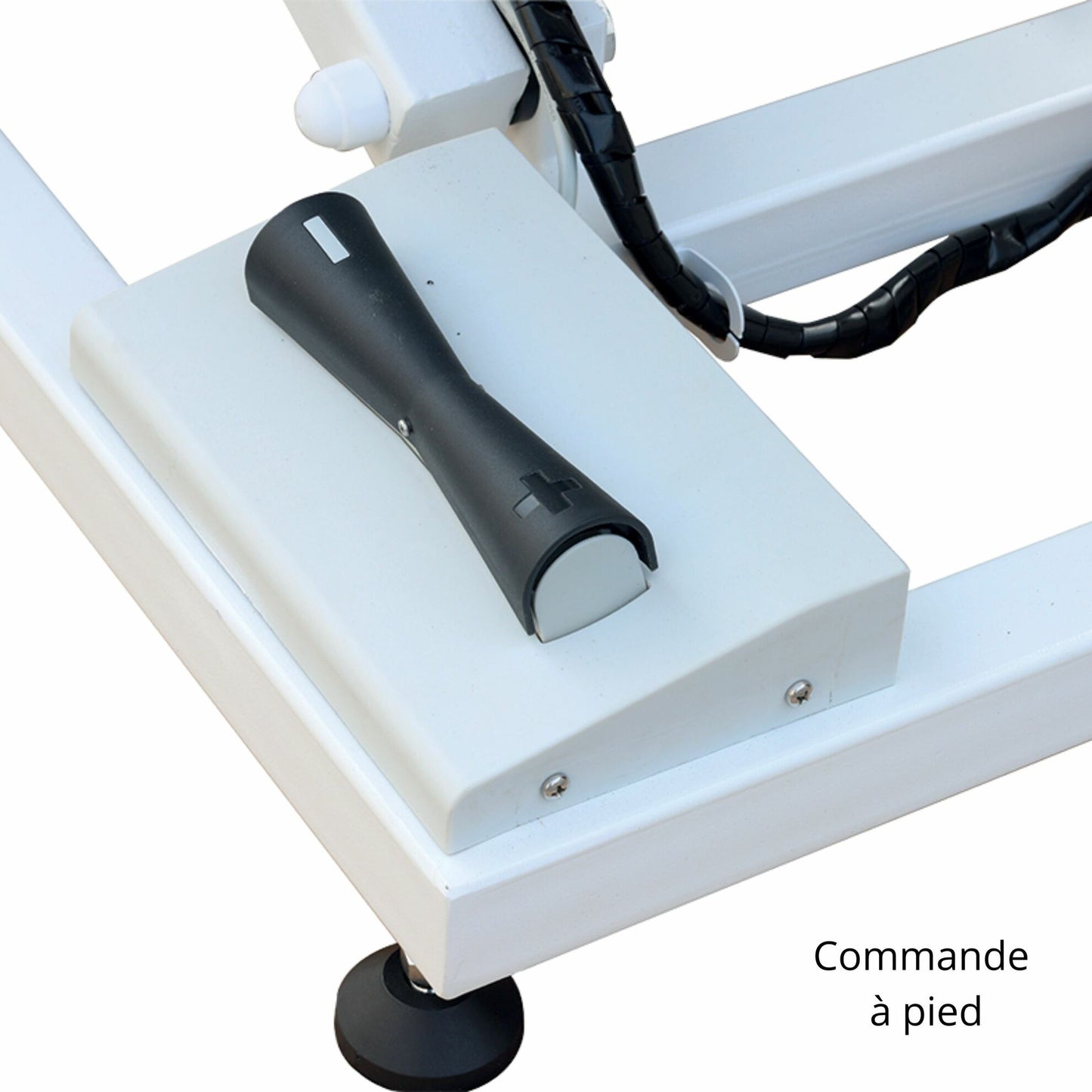 Table de toilettage à vérin électrique Callisto double commande