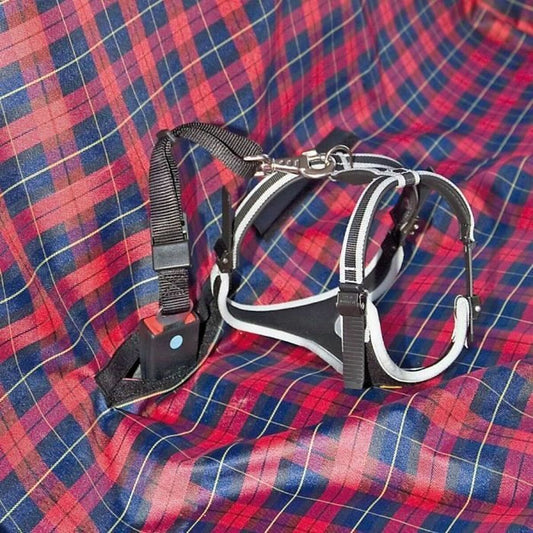 V5HB77A8A3C090DAB0EC63581E1151A5C69R6670583P2