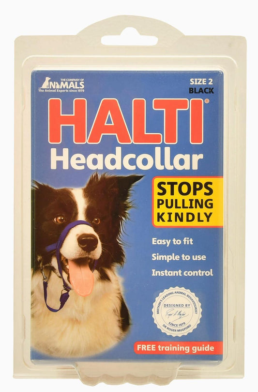 Licol de dressage anti-traction