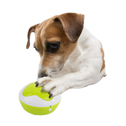 Hundekommunikationsknöpfe