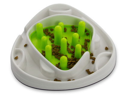 Labyrinthe Alimentaire Interactif Chien