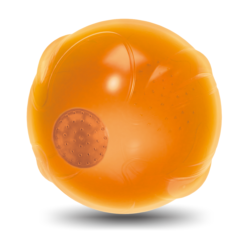 Balle Anti-Anxiété Parlante - Ø 8 cm