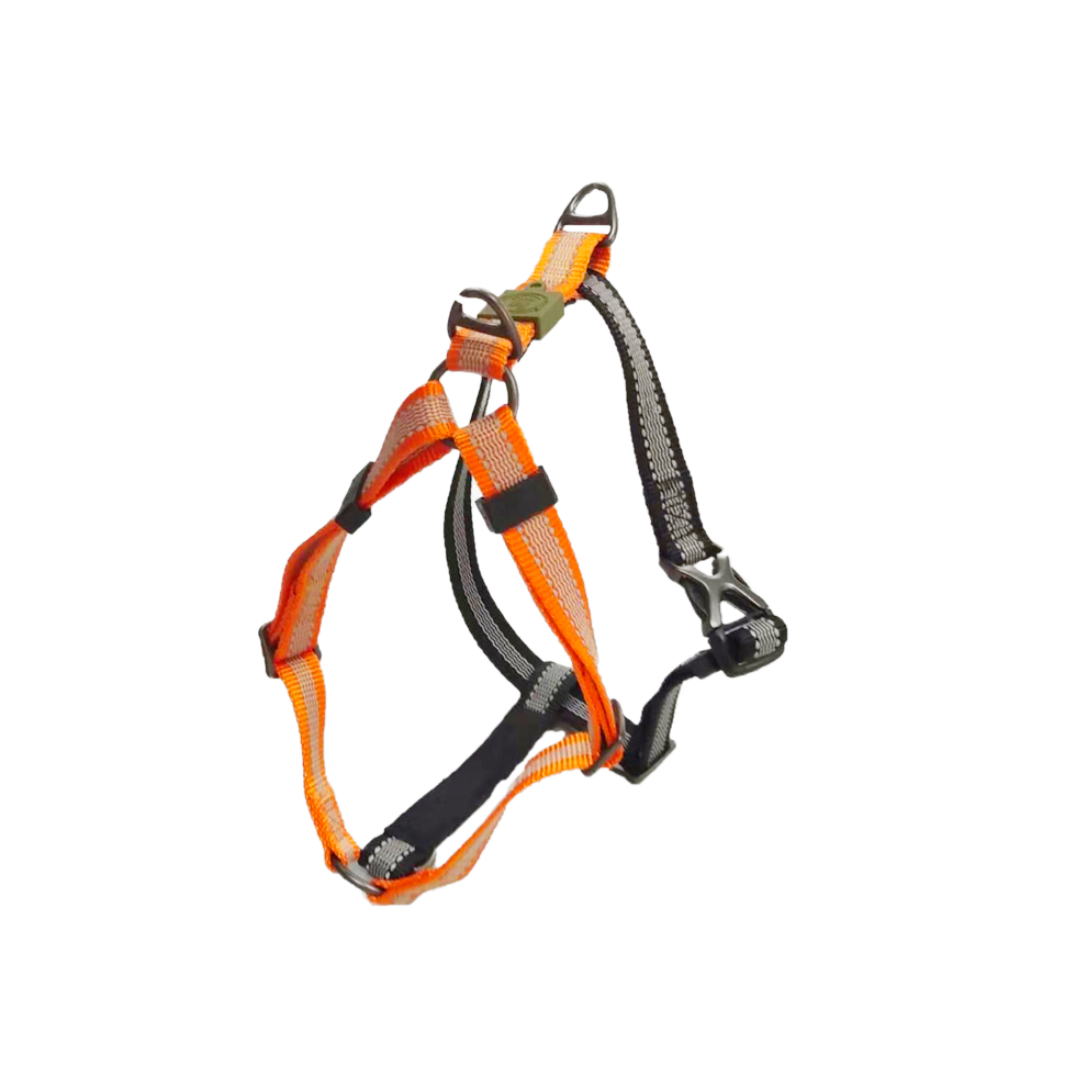 Harnais Anti-Traction Mandarine - Taille XL