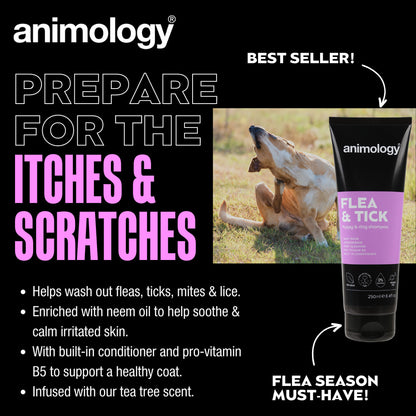 Shampoing Anti-Puces et Tiques - 250ml
