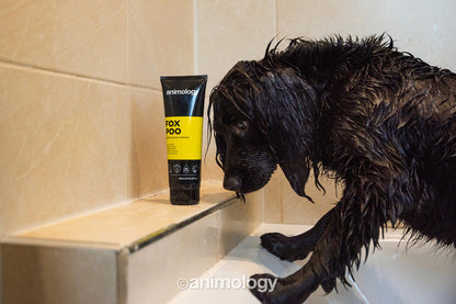 Shampoing Anti-Odeurs Intensif - 250ml