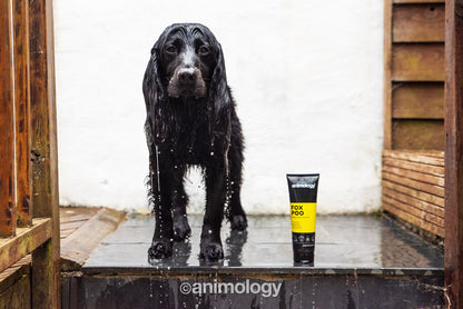 Shampoing Anti-Odeurs Intensif - 250ml
