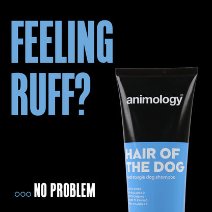 Shampoing Démêlant Anti-Nœuds - 250ml