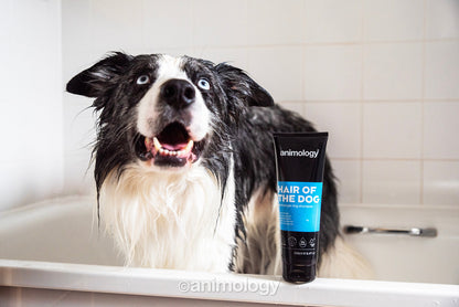 Shampoing Démêlant Anti-Nœuds - 250ml