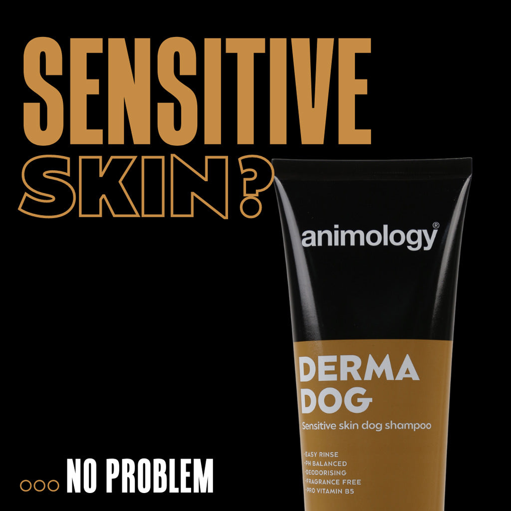 Shampoing Peau Sensible - 250ml