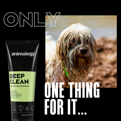 Shampoing Nettoyage Intensif - 250ml