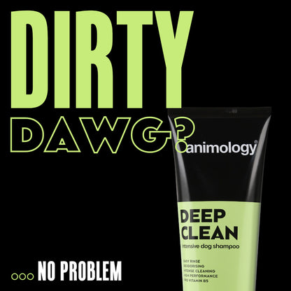 Shampoing Nettoyage Intensif - 250ml