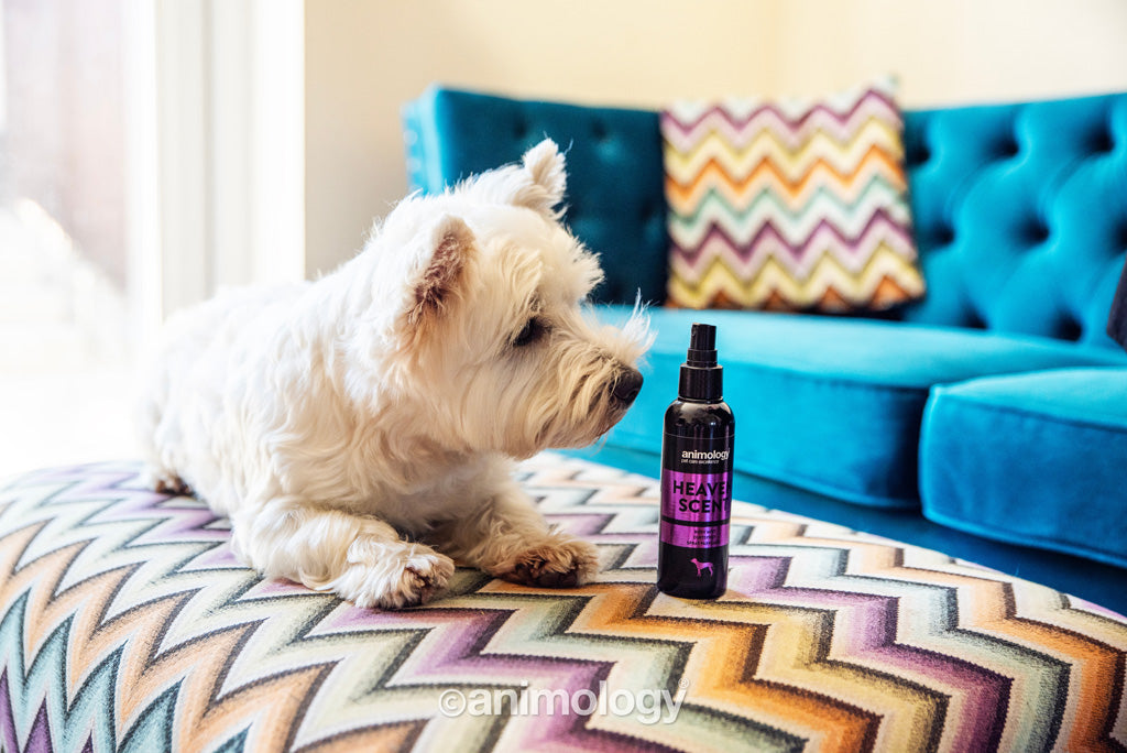 Spray Désodorisant Féminin - 150ml