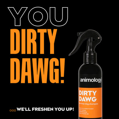 Shampoing Sans Rinçage - 250ml
