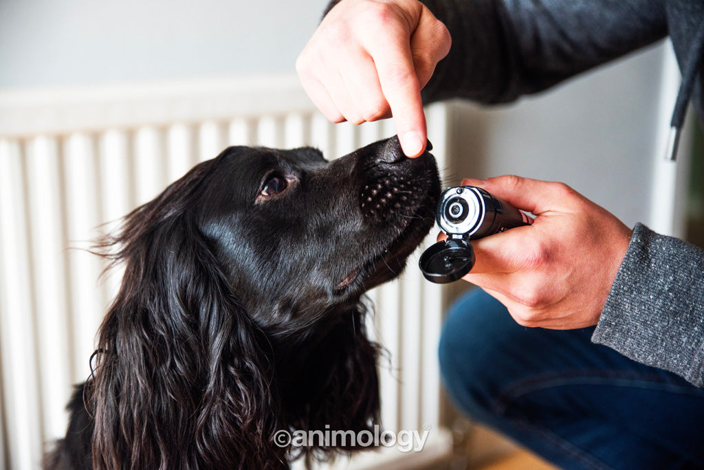 Baume Coussinets et Truffe - 50ml