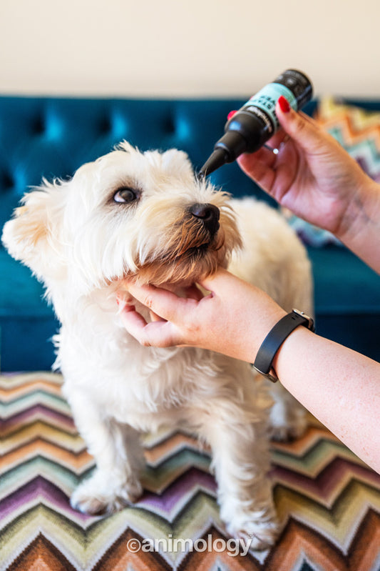 Nettoyant Anti-Taches Lacrymales - 100ml