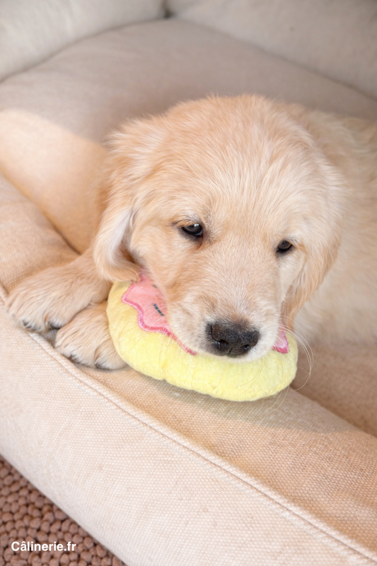 Doudou Gloria Frosty Donut Rose