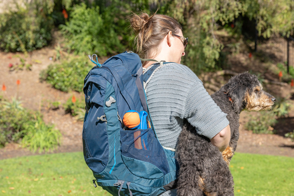 Lanceur Pliable Mini + Balle