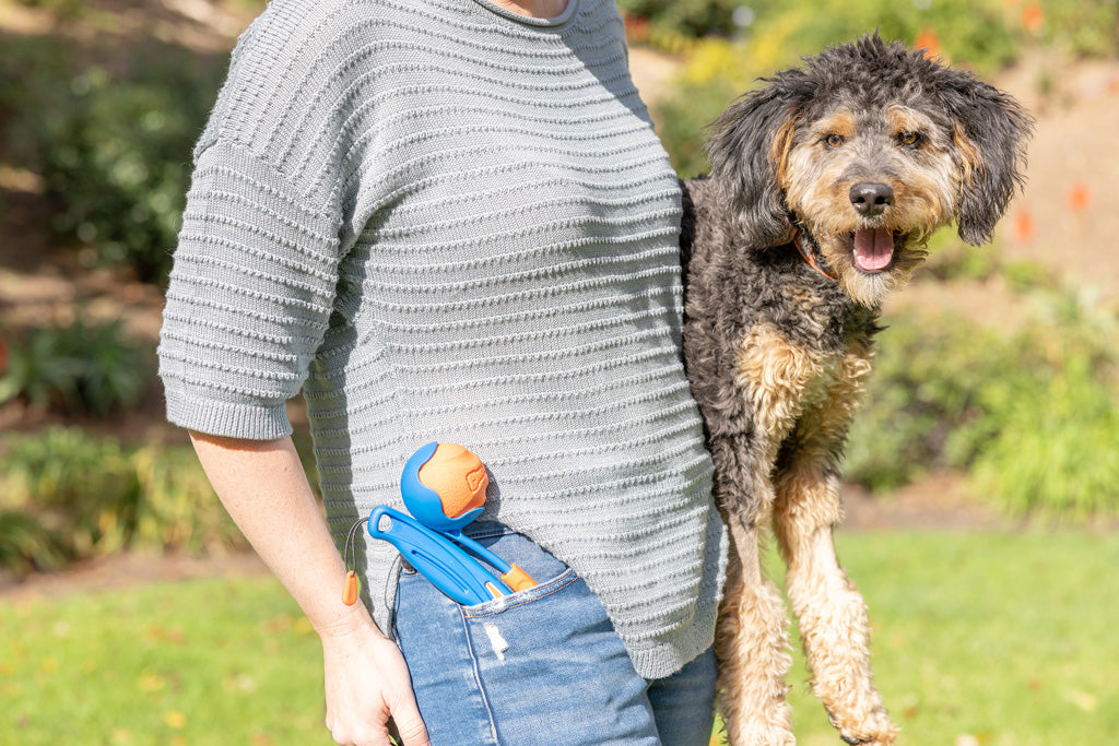 Lanceur Pliable Mini + Balle