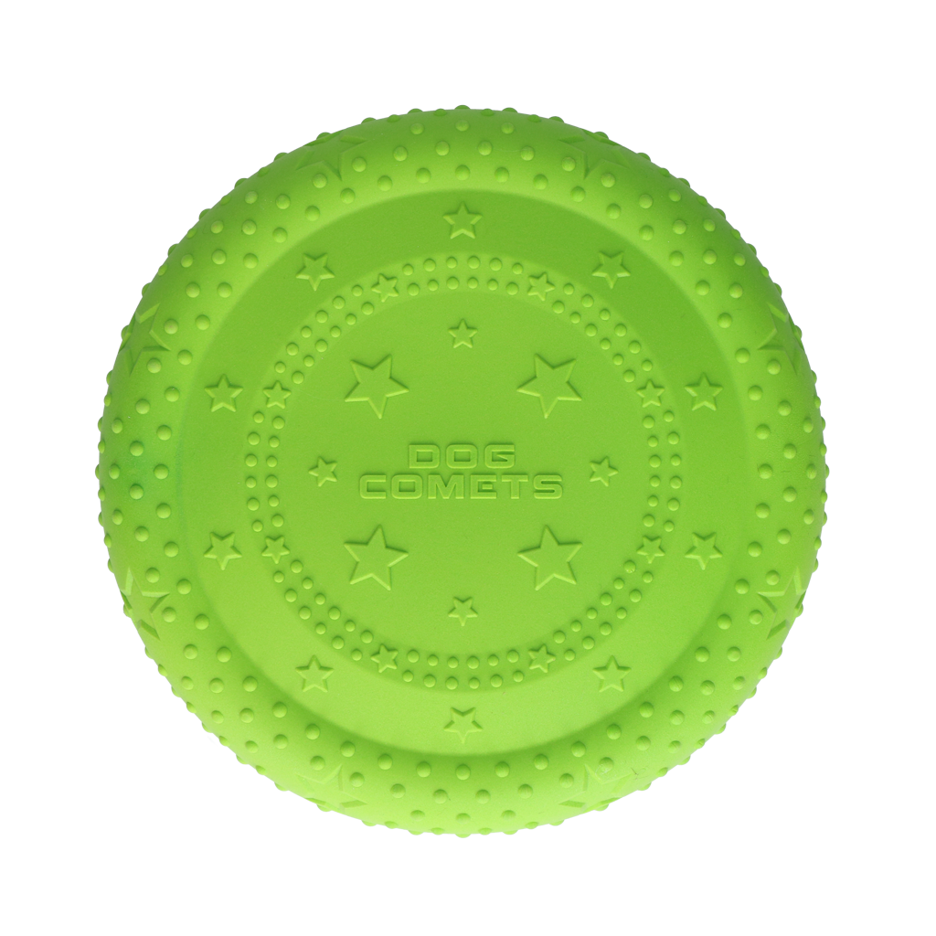 Frisbee UFO Flyer Grün