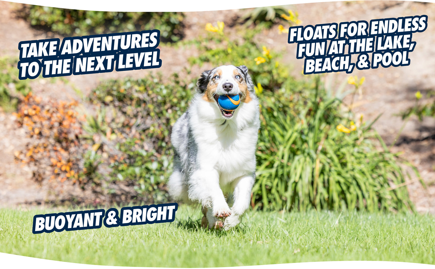 Balle Ultra Couinante M - Unité