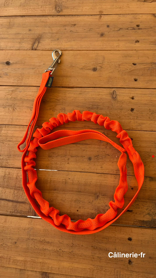 Ligne de trait Canicross élastique pour chien
