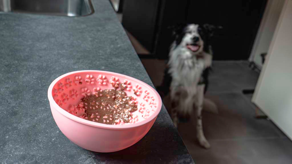 Gamelle Anti-Glouton Oscillante Rose