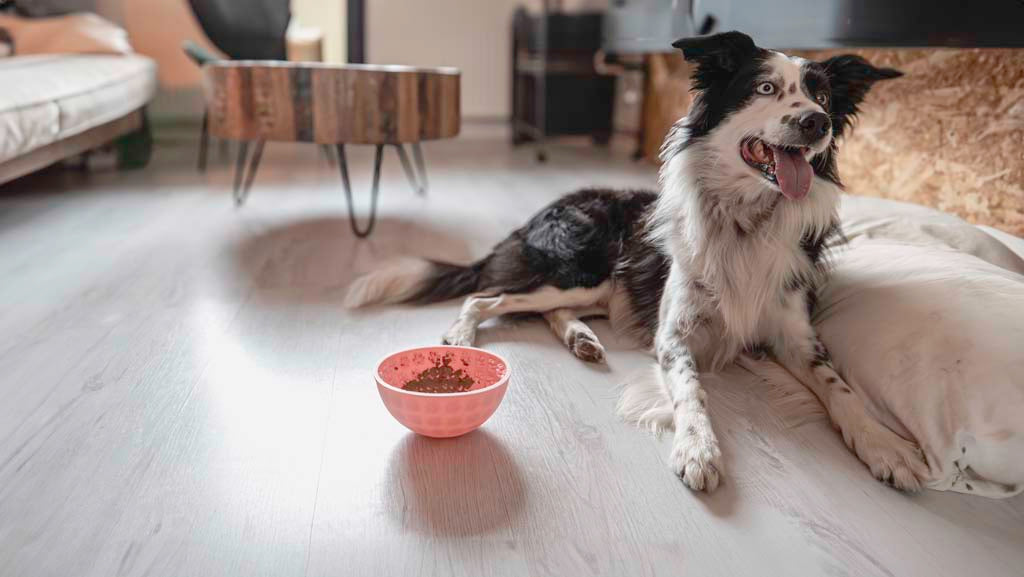 Gamelle Anti-Glouton Oscillante Rose