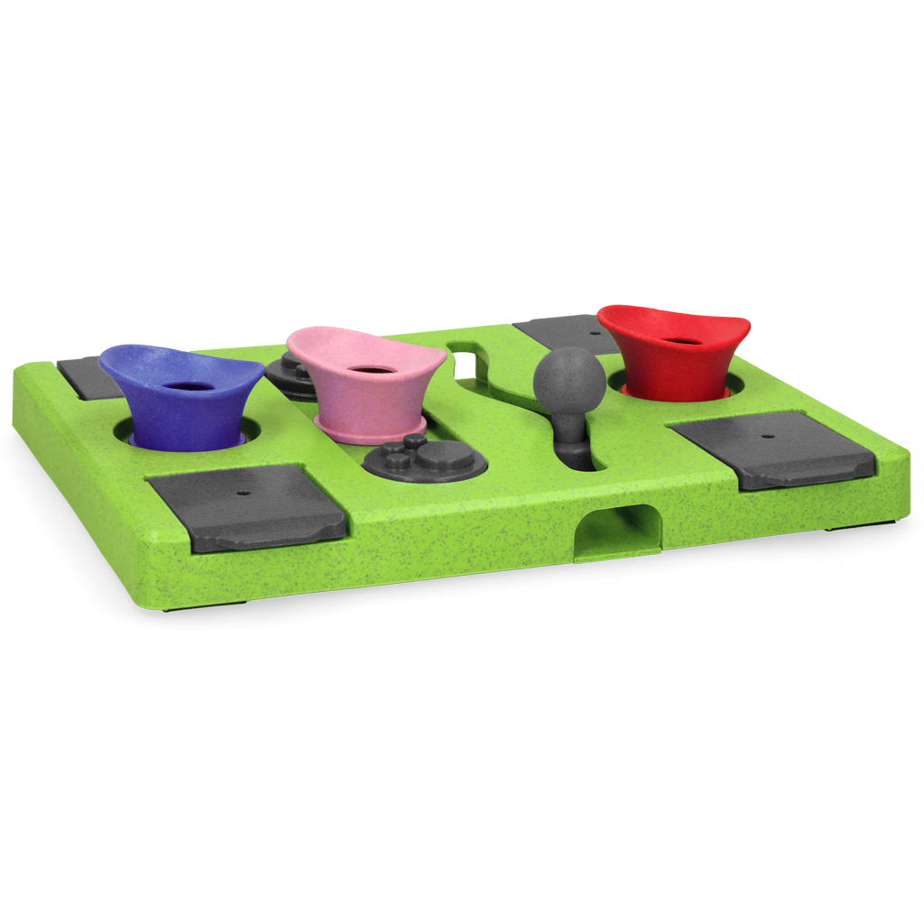 Rectangle Food Puzzle