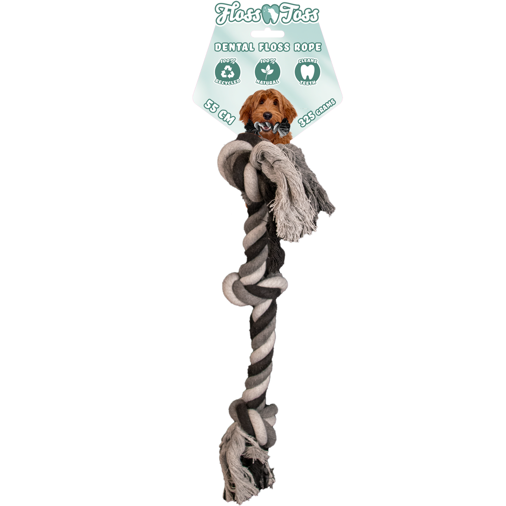Corde Dentaire Compacte - 55 cm