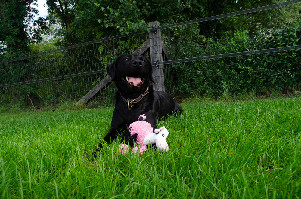 Peluche Vache Couineuse