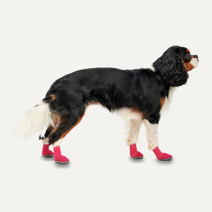 Chaussons Ultras - XL