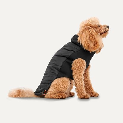 Veste Signature Col Montant - XXS