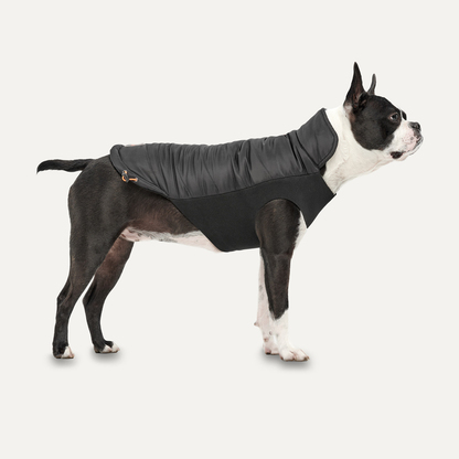Veste Signature Col Montant - XS