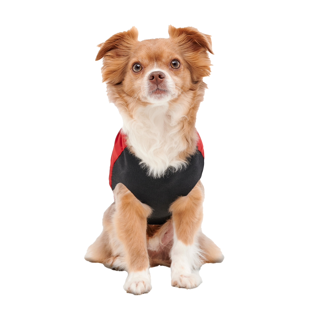 Veste Signature Col Montant - XXS