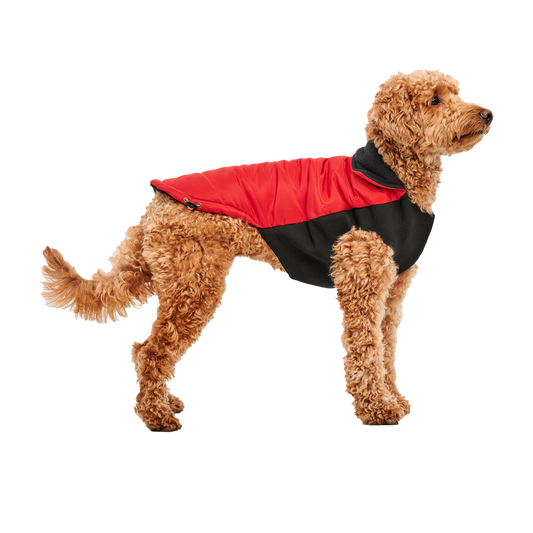 Veste Signature Col Montant - XS