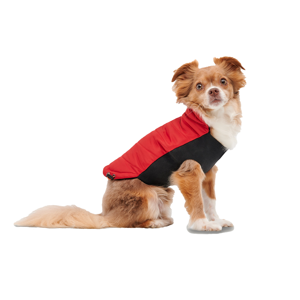 Veste Signature Col Montant - XL