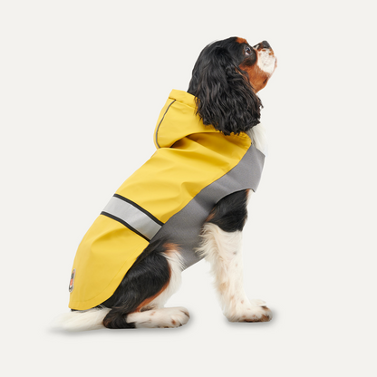 Imperméable Capuche Réfléchissant - S