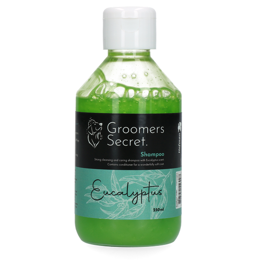 Shampoing Eucalyptus - 250ml