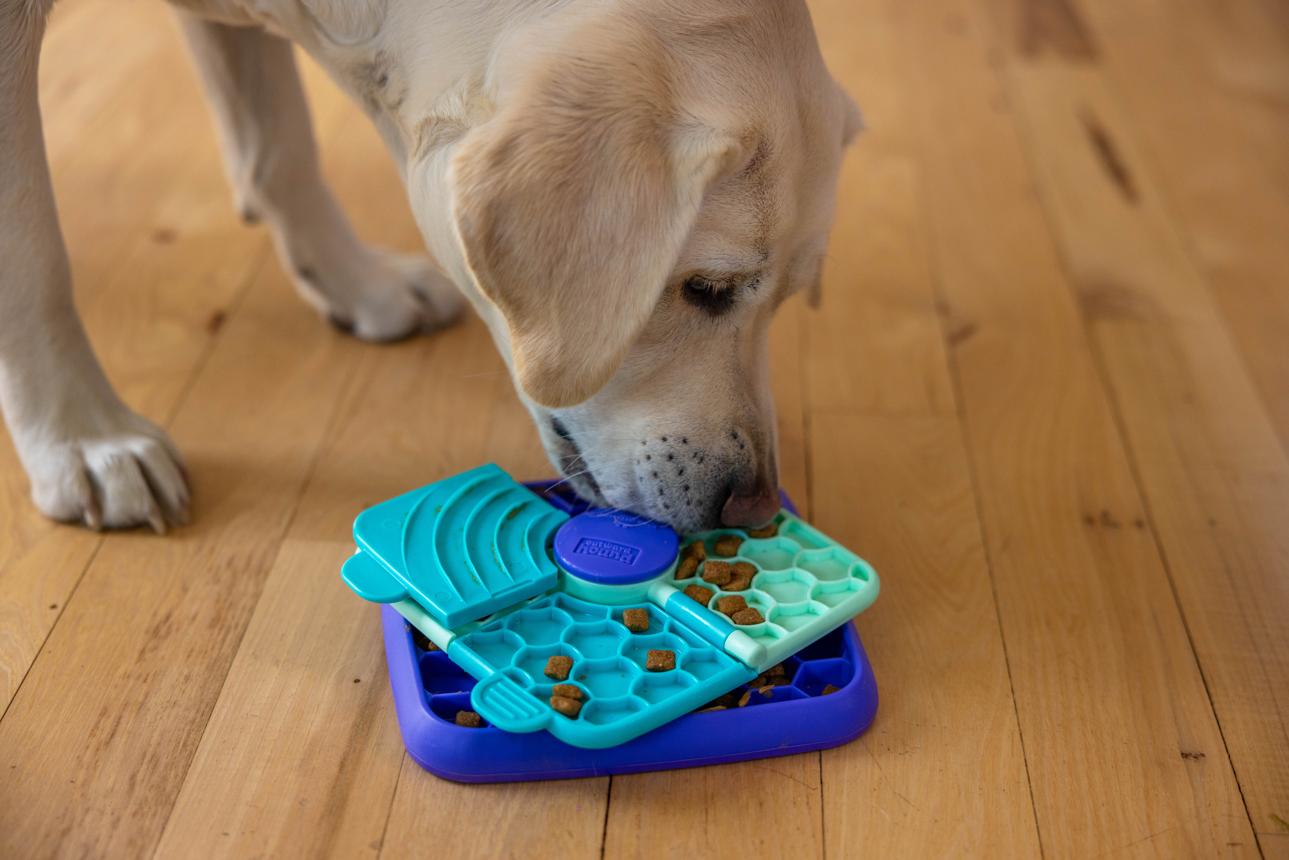 Lick'n'Flip - Puzzle tapis de léchage niveau 1