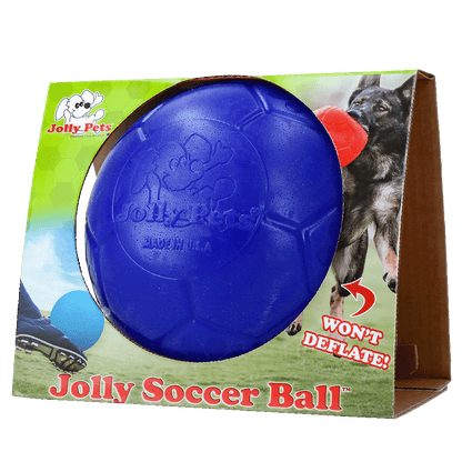 Ballon de Football Bleu - Taille L