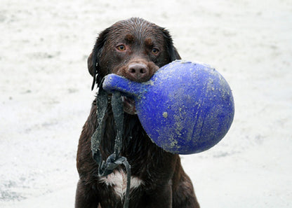 Tug-n-Toss Bleu M 15 cm