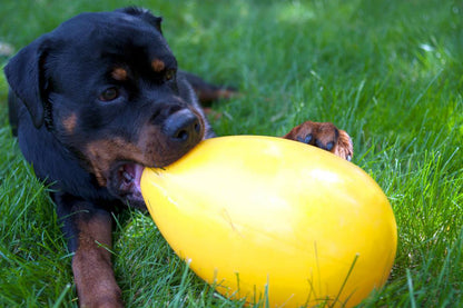 Jolly Egg Jaune L 30 cm