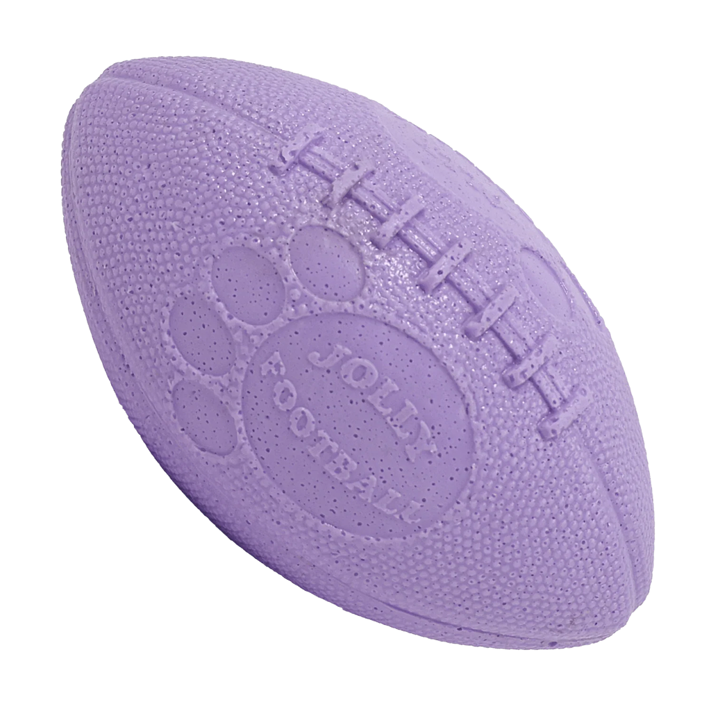 Ballon de Rugby — Lilas