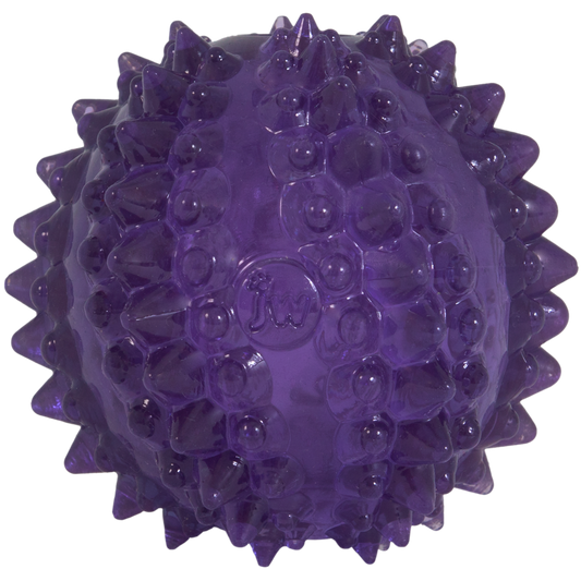 Balle Dentition Bristl-ee Cactus Chiot